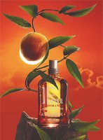    L'Occitane