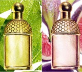  : Aqua Allegoria, Guerlain