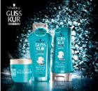 Gliss Kur Million Gloss:    