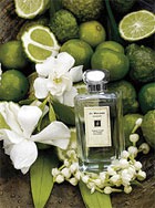    Sweet Lime &amp; Cedar  Jo Malone