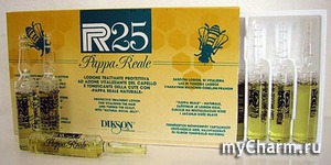 DIKSON /    R.25 Pappa Reale