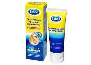 Scholl /      