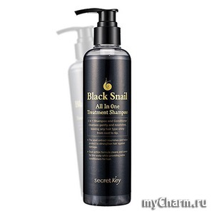 SECRET KEY /    Black Snail All in One Treatment Shampoo